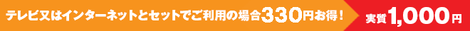 �e���r���̓C���^�[�l�b�g�ƃZ�b�g�ł����p�̏ꍇ346�~�����I����1,050�~